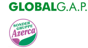 logos_2_01