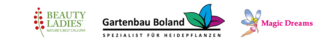Logo von Dieter Boland